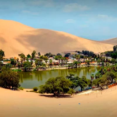 Paracas, Ica, Huacachina desde Lima Full Day