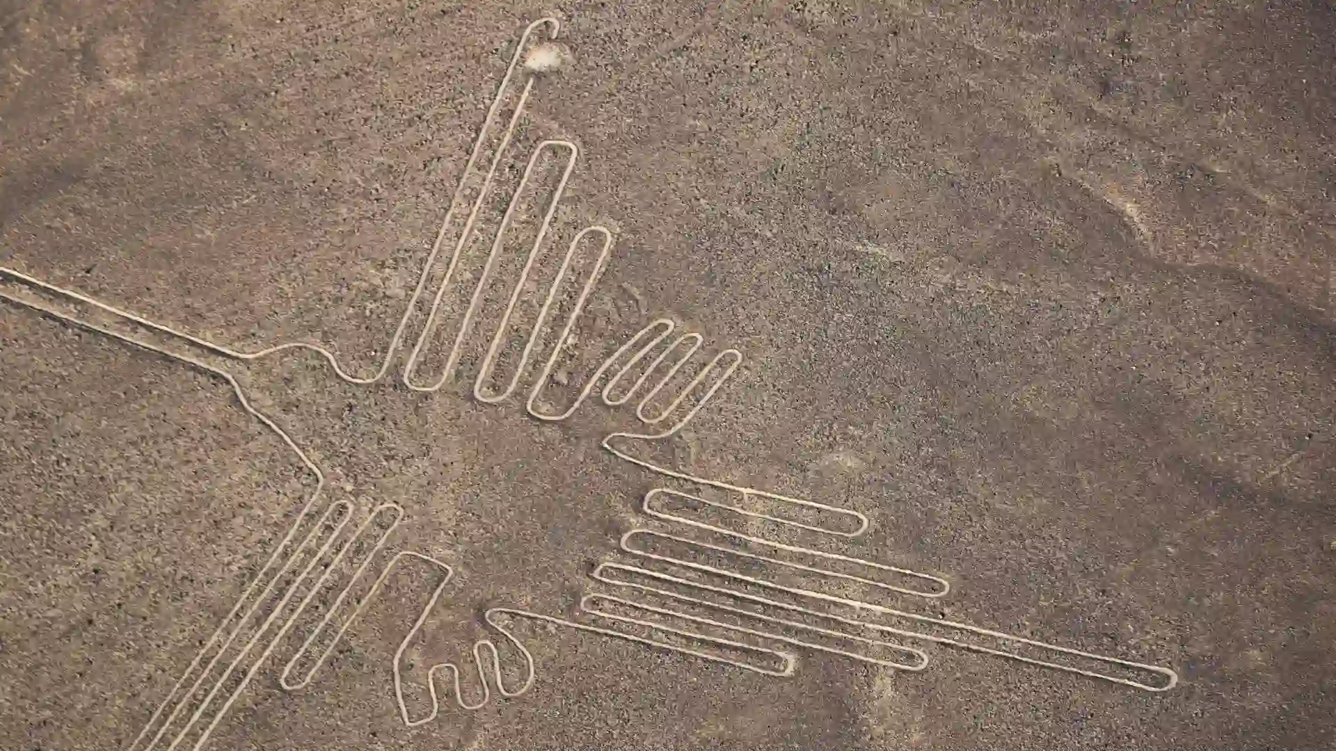 Sobrevuelo a las Líneas de Nazca desde Lima mostrando el geoglifo del colibrí. paquete Lima Nazca Cusco 8 días