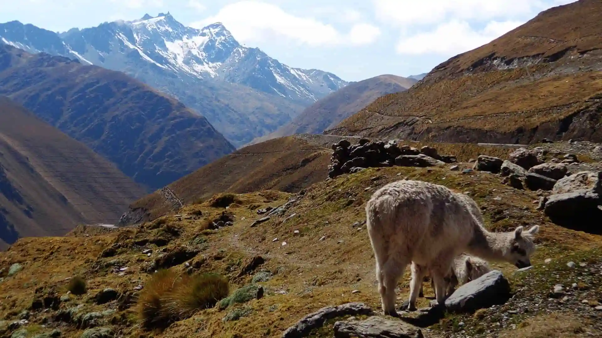 Descenso desde el nevado Abra Málaga hacia la ceja de selva en Santa Teresa. paquete Cusco 7 días por hidroeléctrica