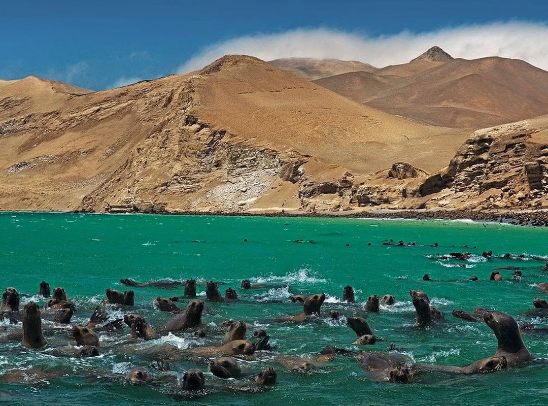 Paracas e Huacachina