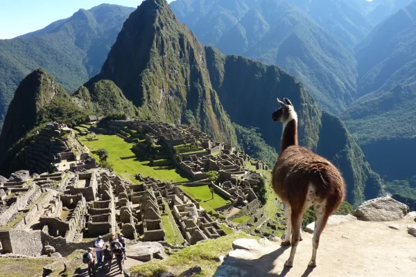 Machu Picchu