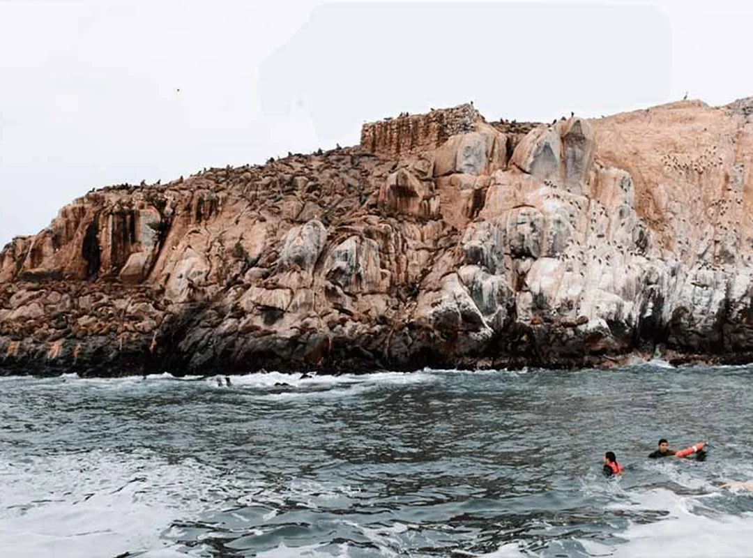 Ilhas Palomino Full Day Lima