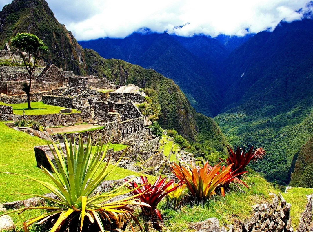 Machu Picchu