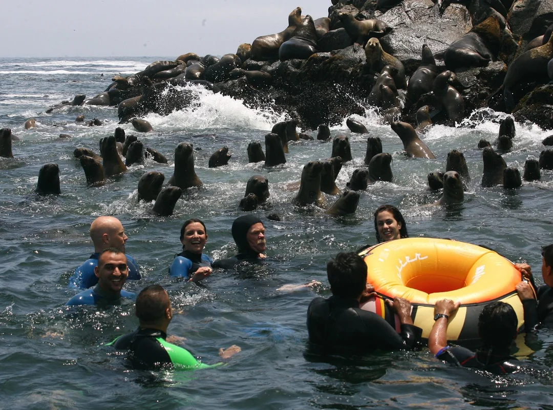 Ilhas Palomino Full Day Lima