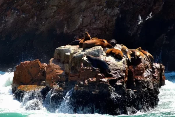 Paracas e Huacachina