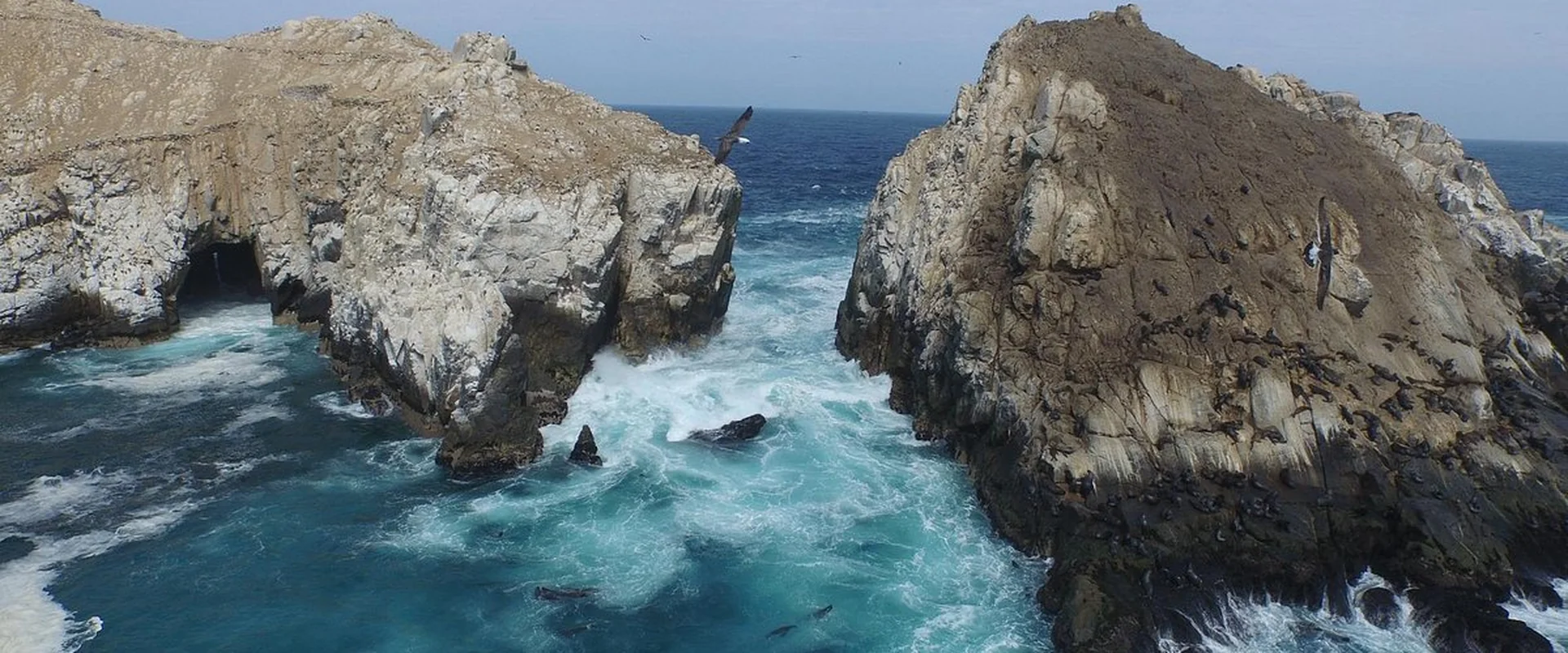 Palomino Islands Full Day Lima