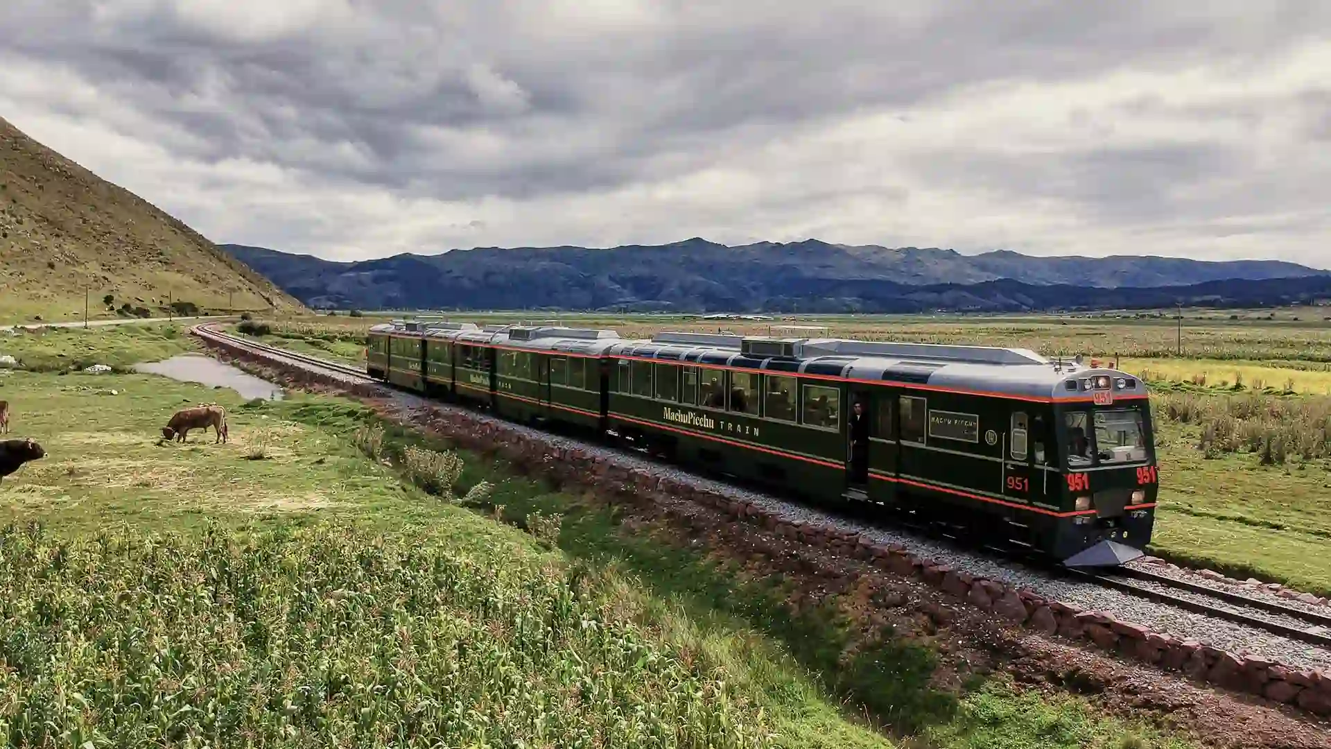 Viaje en tren panorámico hacia Aguas Calientes, Machu Picchu.