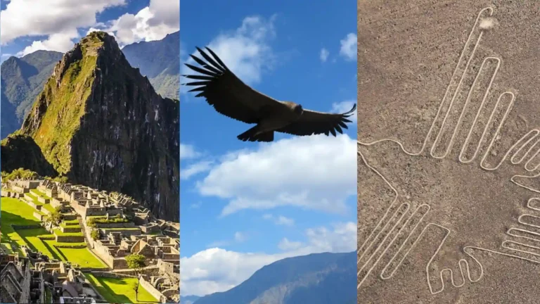 Paquete Perú 12 Días: El Gran Circuito del Sur
