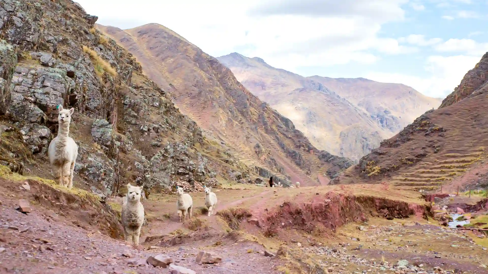 Trekking à Montanha das 7 Cores (Vinicunca) - 2