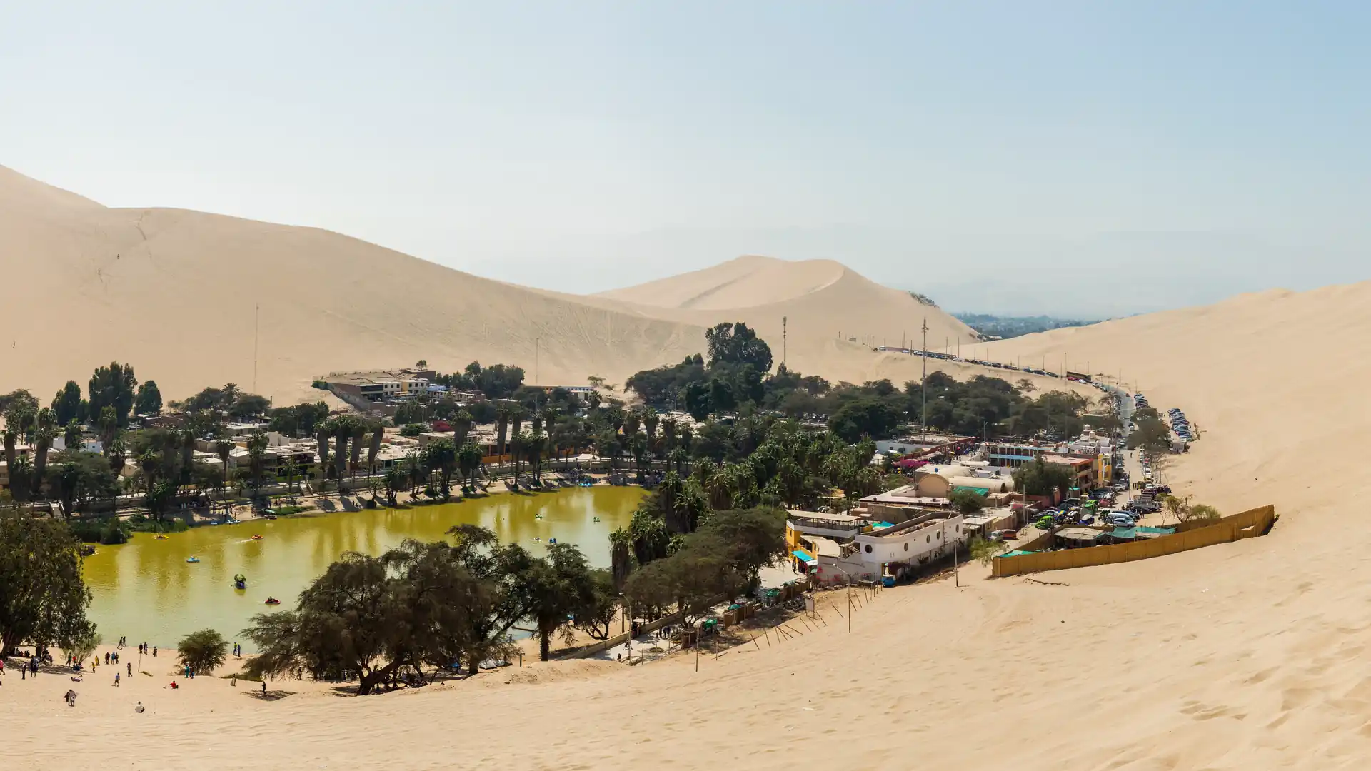 Dia inteiro Paracas, Ilhas Ballestas e Huacachina - 4