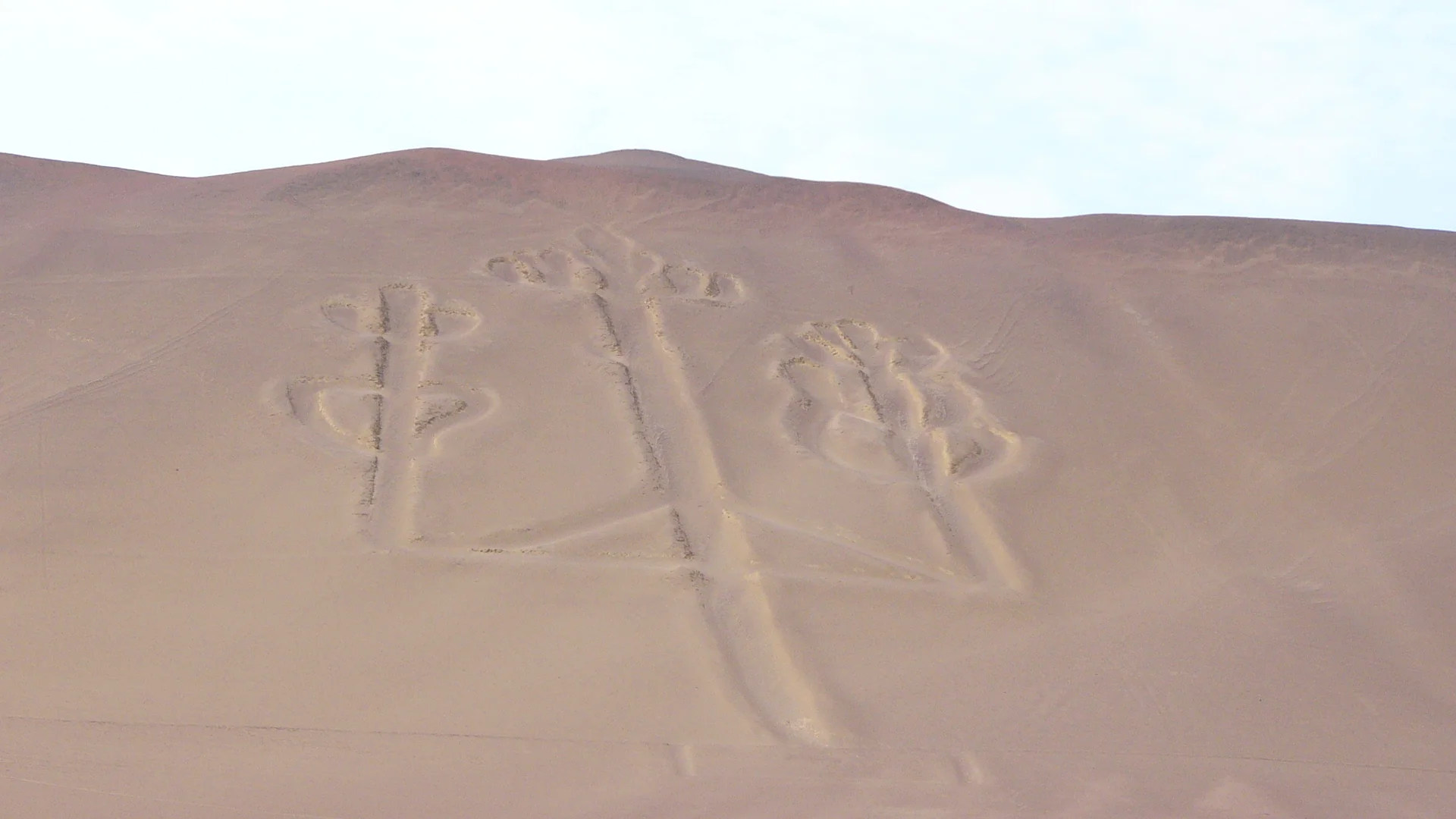 Dia inteiro Paracas, Ilhas Ballestas e Huacachina - 1