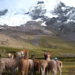 Majestuoso nevado sagrado Ausangate visible desde la cima del mirador de Vinicunca en Cusco
