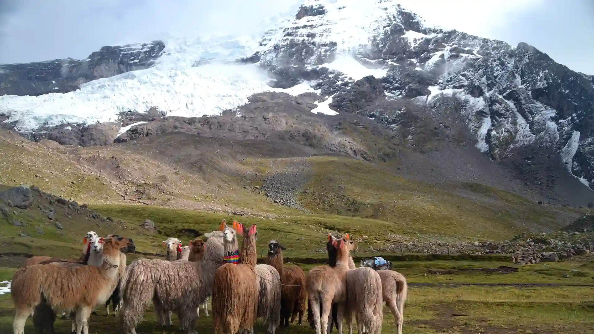 Trekking à Montanha das 7 Cores (Vinicunca) - 4