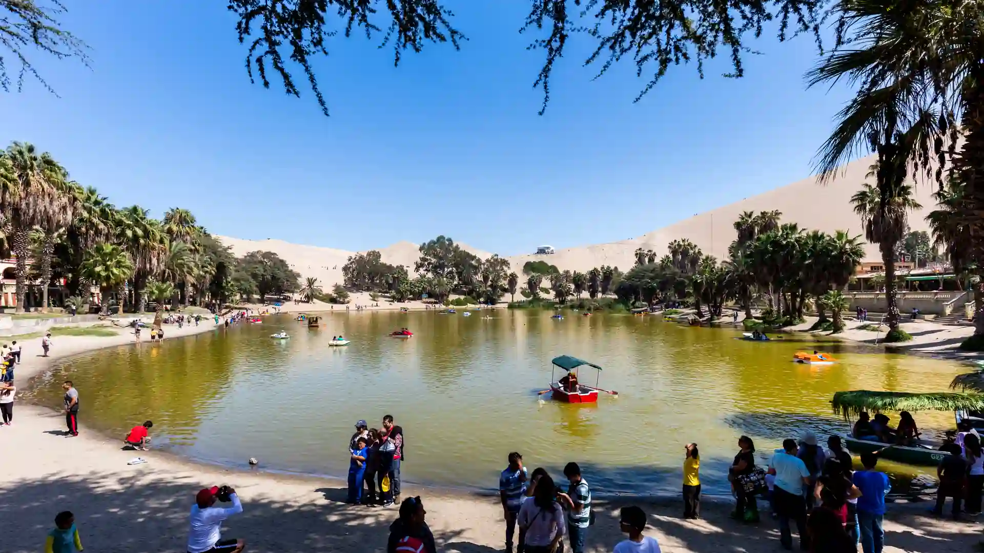 Dia inteiro Paracas, Ilhas Ballestas e Huacachina - 3