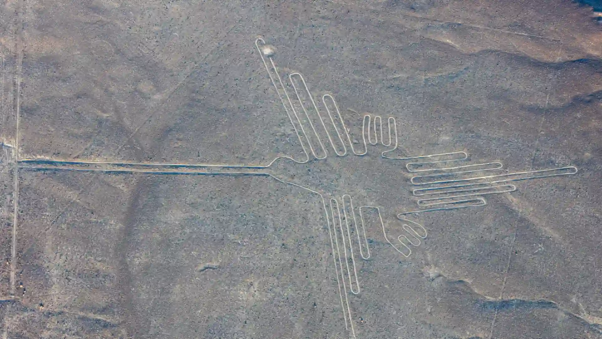 Nazca Lines Tour from Ica | Flight and Aqueducts Full Day