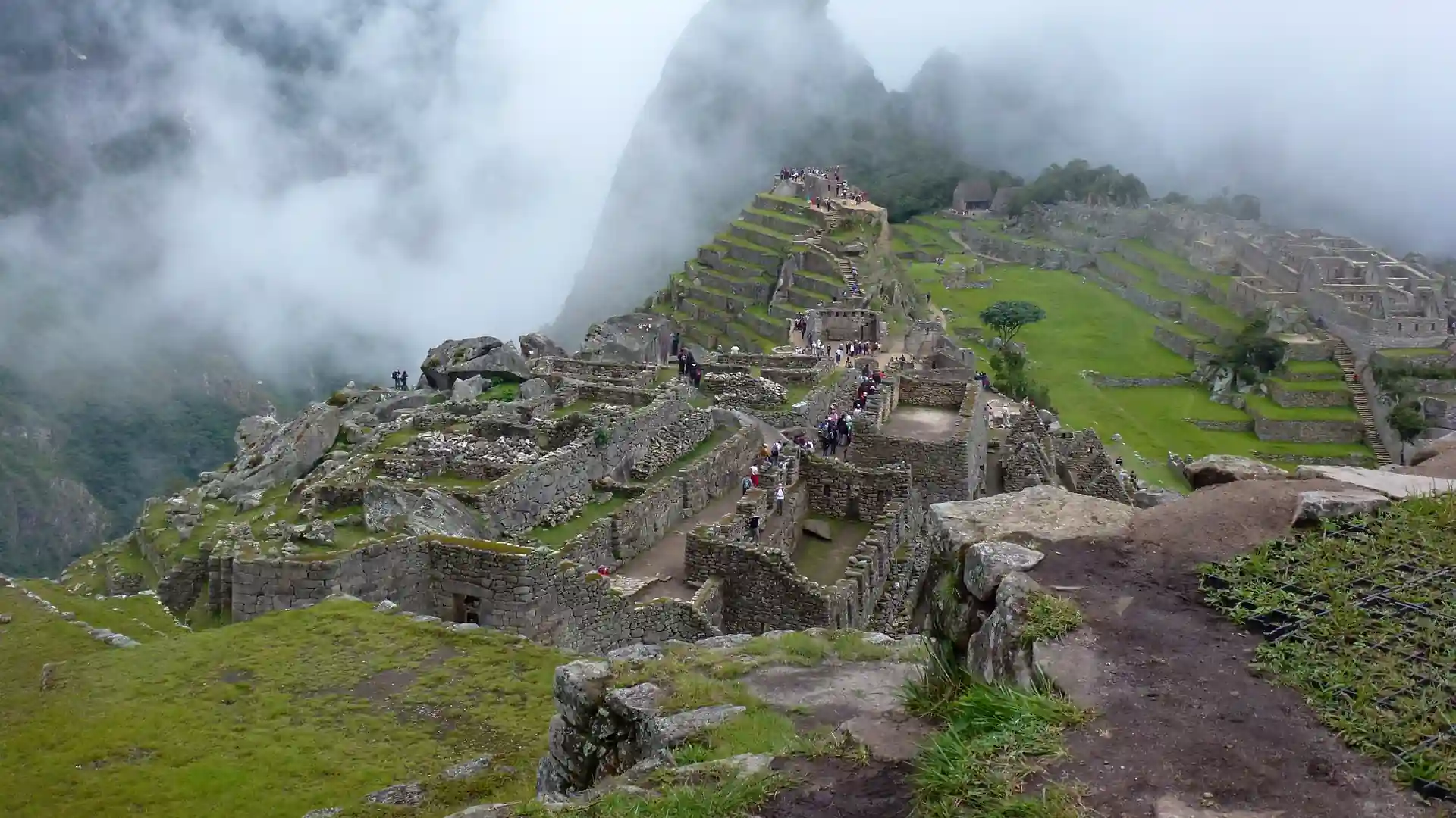 Dia Inteiro Machu Picchu de Trem - 3