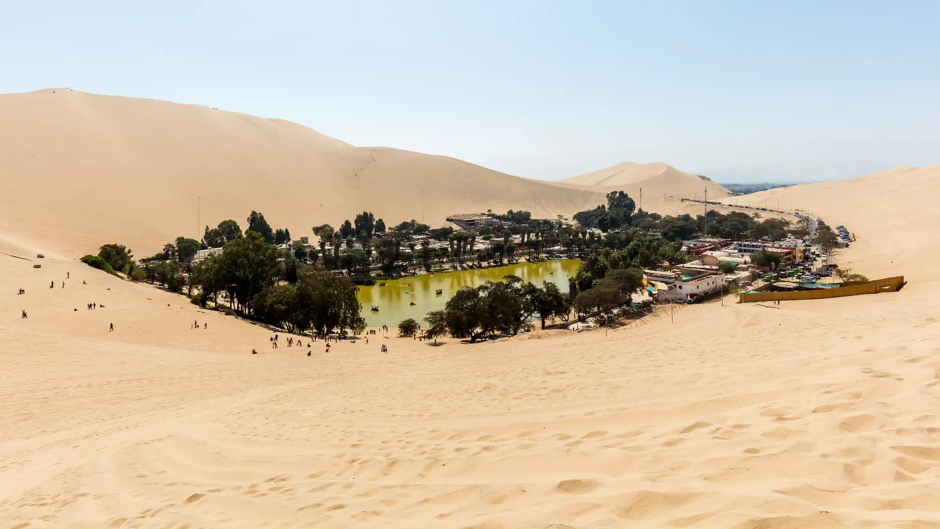 Dia Inteiro Paracas e Huacachina de Lima | Ilhas Ballestas e Buggies